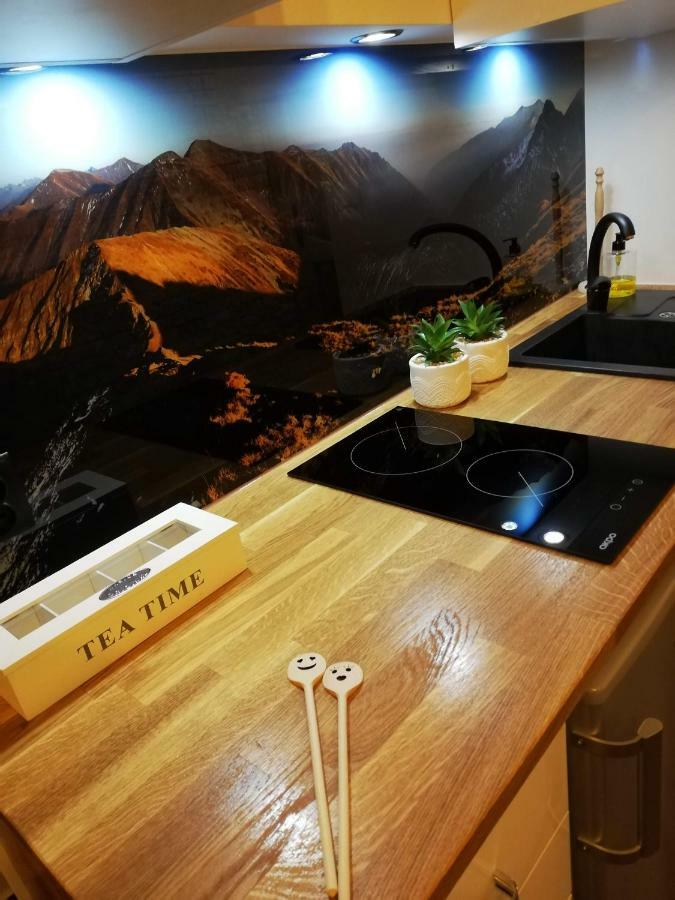 Apartamenty Folk Dream Harenda Zakopane Exteriör bild